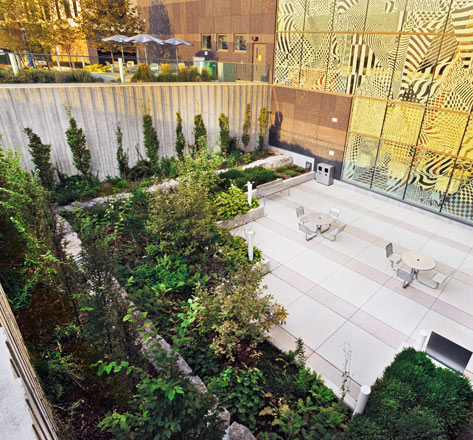 Etobicoke General Hospital - paved sunken courtyard with raised planting beds and dining area